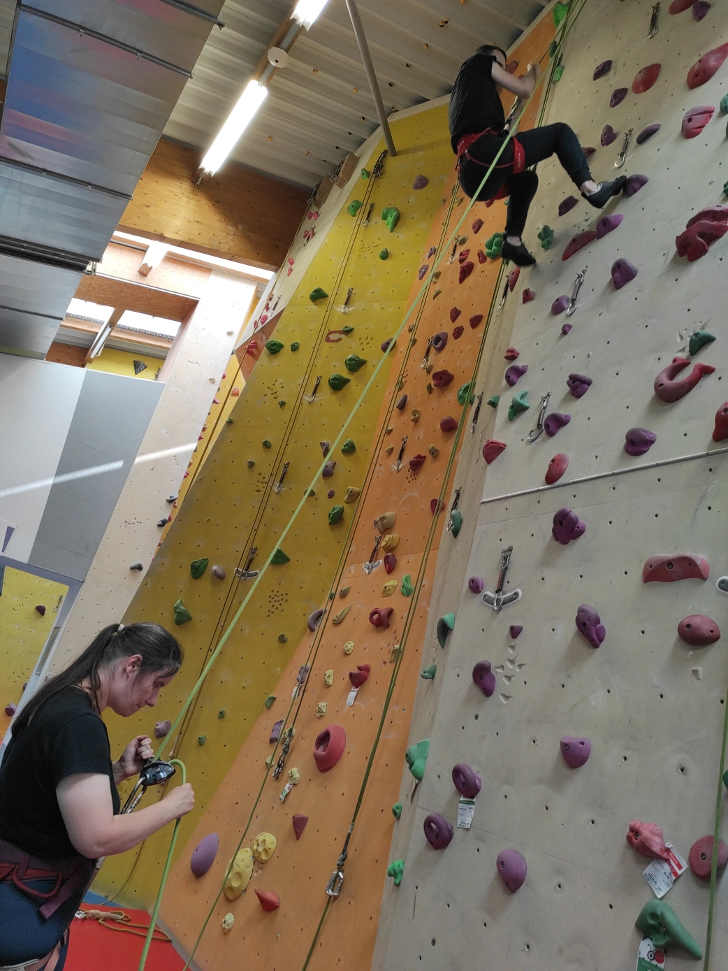 Ein Mann am Ende einer indoor Kletterwand unter einem Blechdach wird von einer Frau mit einem Seil und Klettergurten gesichert. Die Frau sichert mit den Händen am Grigri Sicherungs- und Abseilgerät. Die Kletterwand hat viel bunte Griffe. Mehrere Kletterseile mit Karabinern an den Enden hängen von der Kletterwand. An der Hallendecke befinden sich Neonröhren und eine Lüftungsanlage.